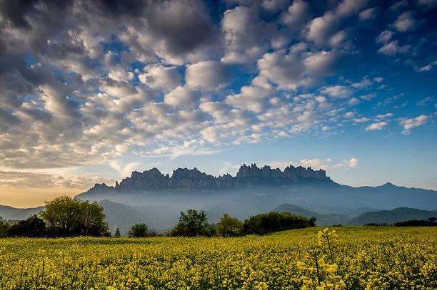 Apartament Roca Foradada Monistrol de Montserrat Dış mekan fotoğraf